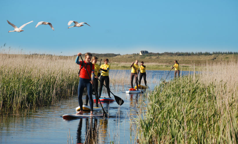 Stand Up Paddling