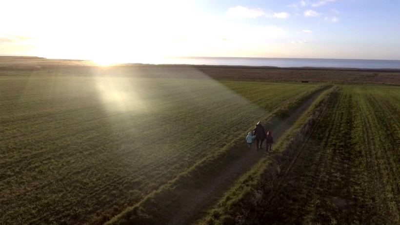 Natur ved Ringkøbing Fjord